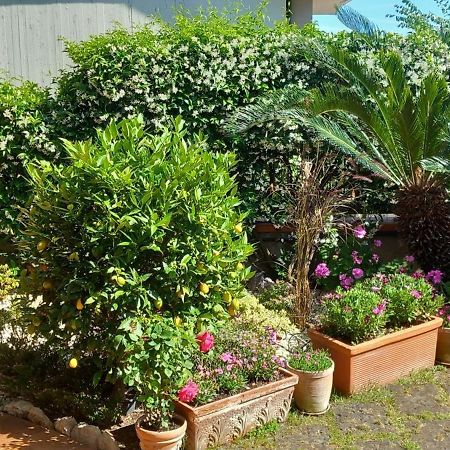 B&B Villa Noemi Formia Bagian luar foto