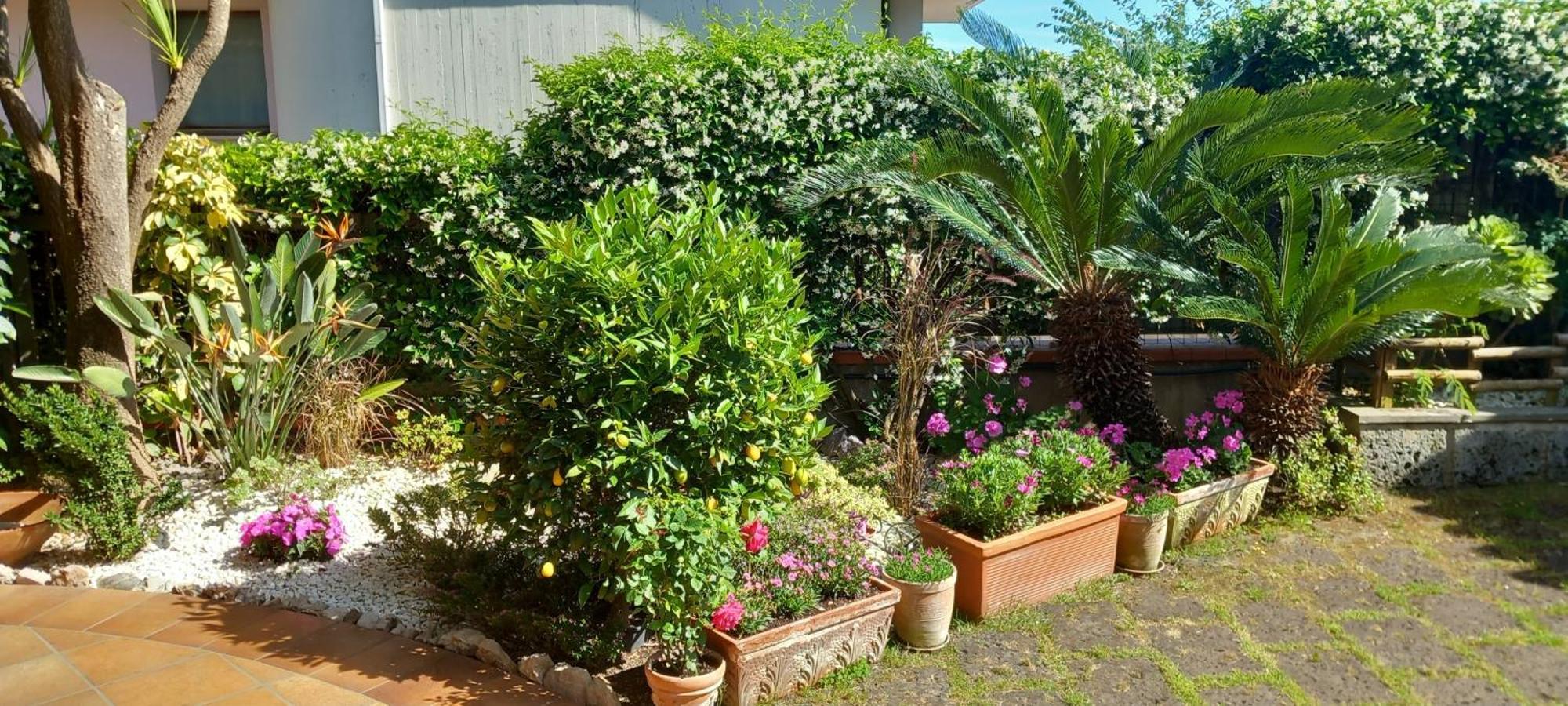 B&B Villa Noemi Formia Bagian luar foto